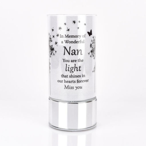 Picture of THOUGHTS OF YOU TUBE LIGHT NAN